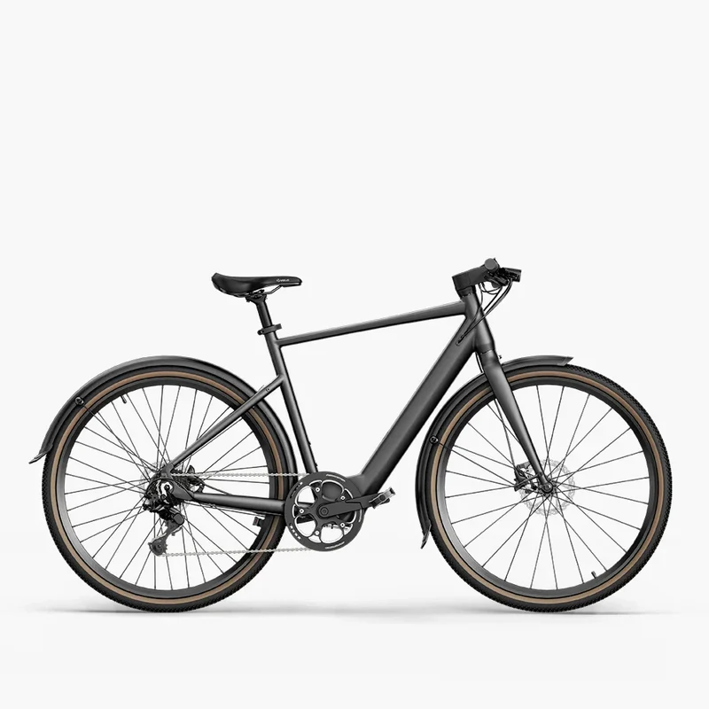 Fiido C21 E-Gravel & Vélo électrique Urbain