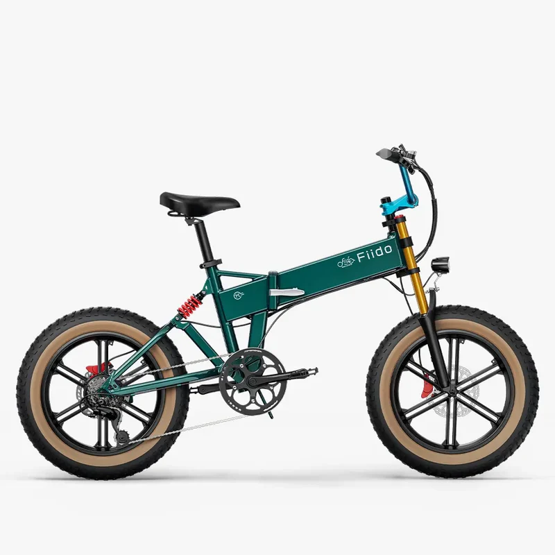 Fiido M1 Pro Vélo électrique
