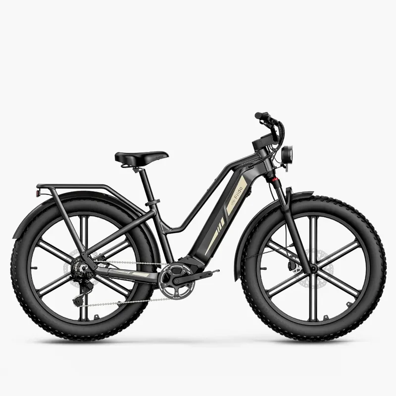 Fiido Titan Fat Tire Chasse et Randonnée