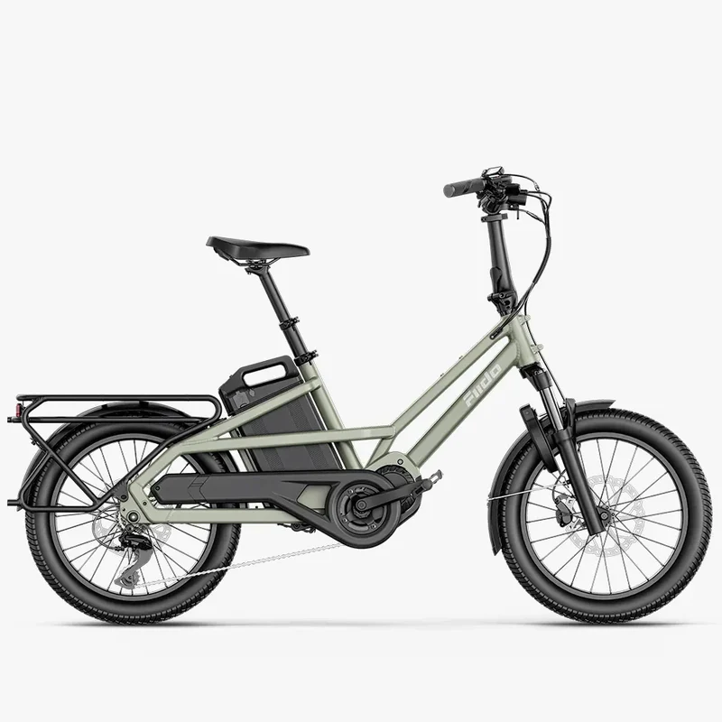 Fiido T3 Vélo Électrique Cargo Familial Urbain