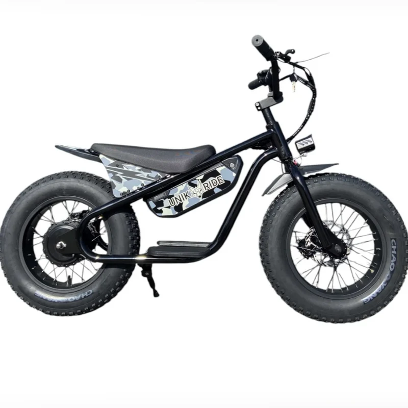DRAISIENNE ÉLECTRIQUE FAT FUN