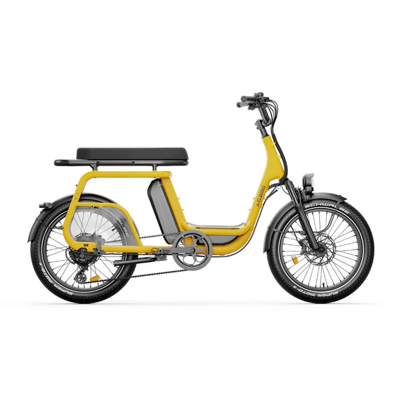 Ritmic Duo - cargo biplace
