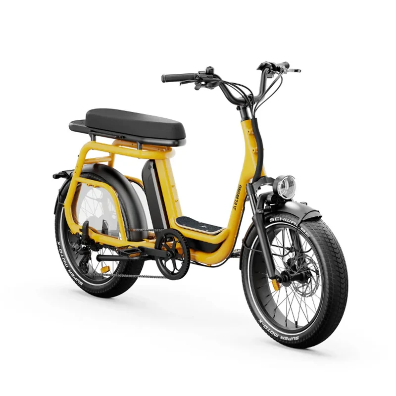 Ritmic Duo - cargo biplace