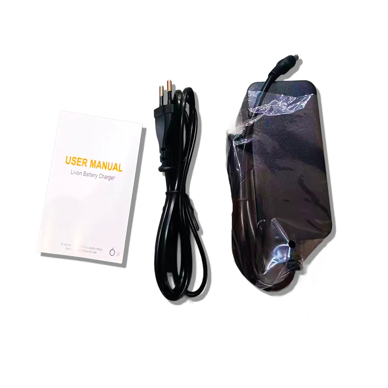 Charger 350W (Curtis & Brio)