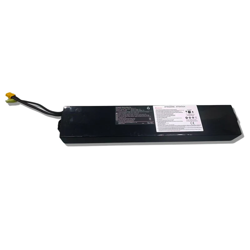 Battery 350W (Curtis)