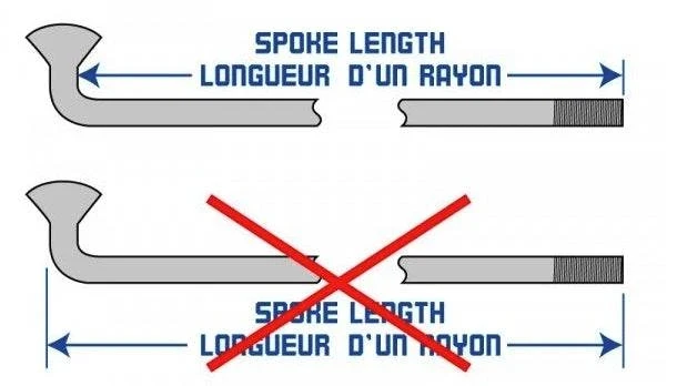 Rayon DT Swiss sur mesure