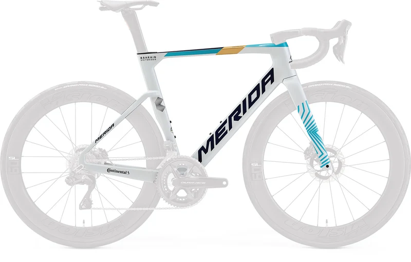 Mérida Reacto Team IV2 frame kit TBV teal/pearl(team)
