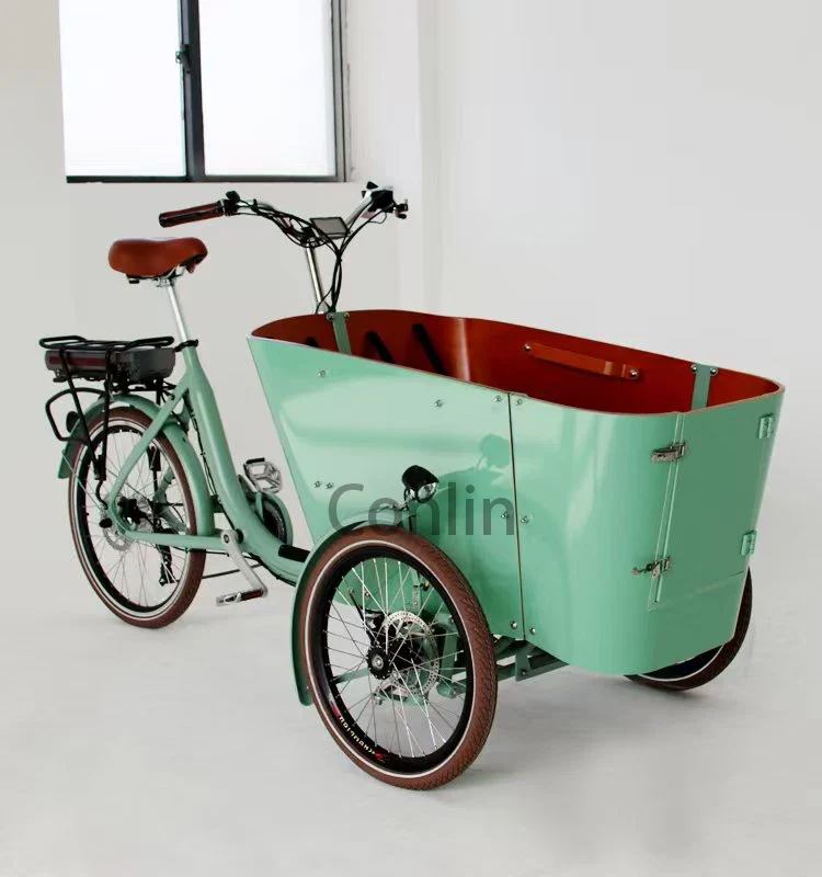 Tricycle Cargo Électrique Familial 4 Places | Triporteur Enfants 150 kg | Garantie 1 an