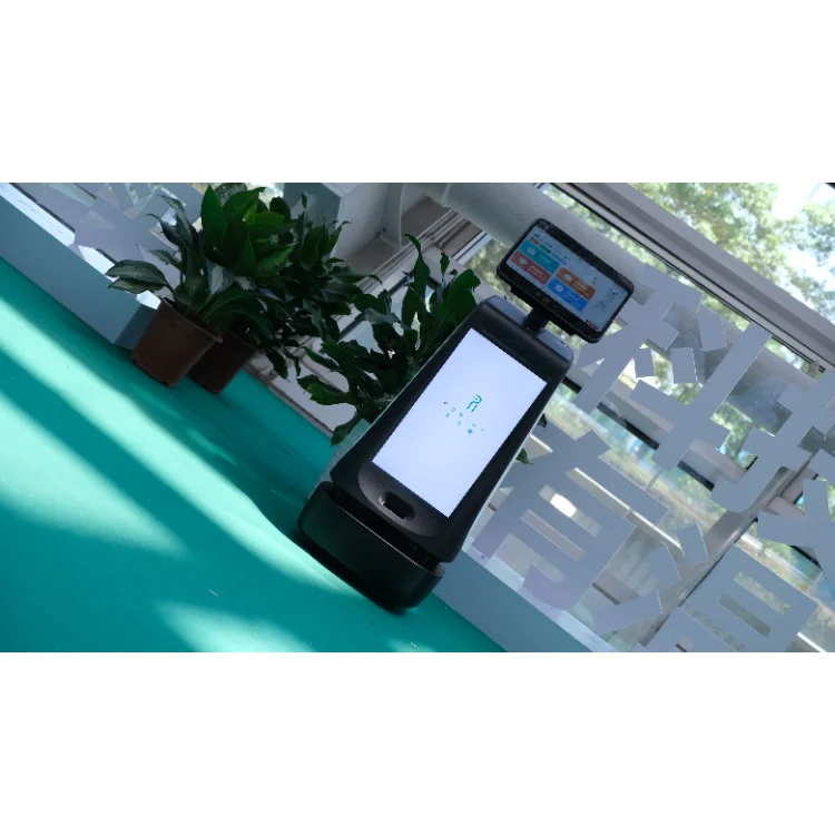 Robot Surveillance Médicale Domicile Senior | Rappel Médicaments & Détection Chute | Robint