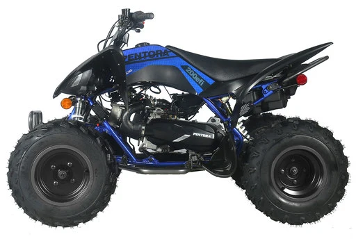 Vitacci 200 EFI Automatic Sport ATV