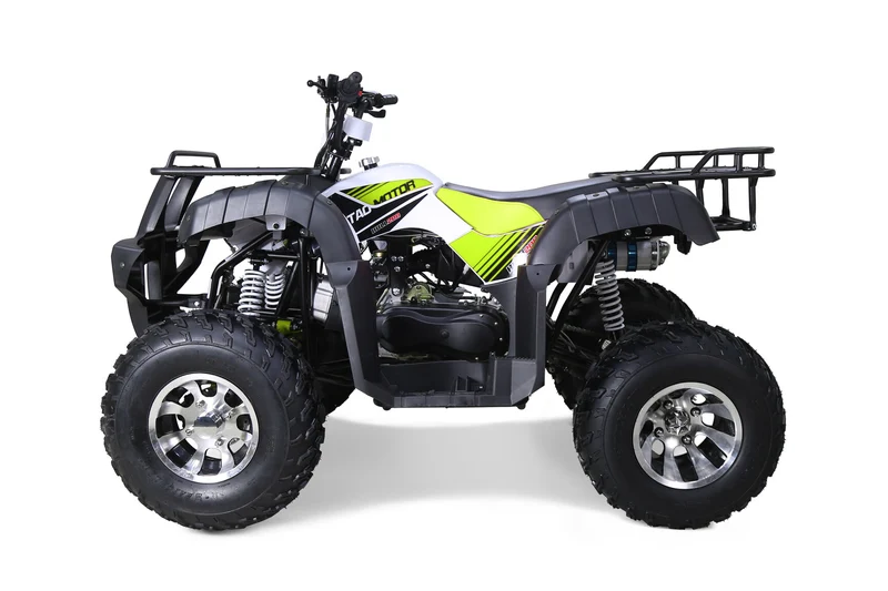 Tao ATV BULL 200S