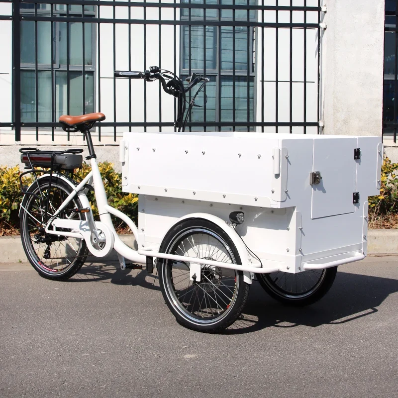 Tricycle Cargo Électrique 20 pouces avec Siège Enfant