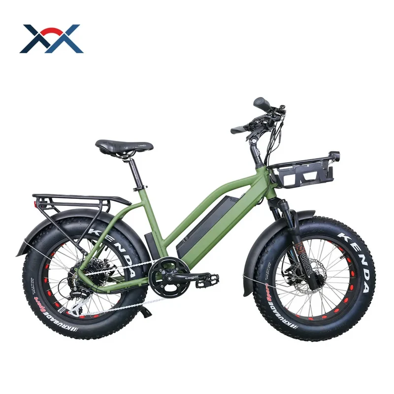 Vélo électrique enfant 48V 750W moteur, batterie 13Ah