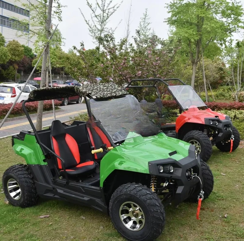 buggy Tout-Terrain Électrique 3000W