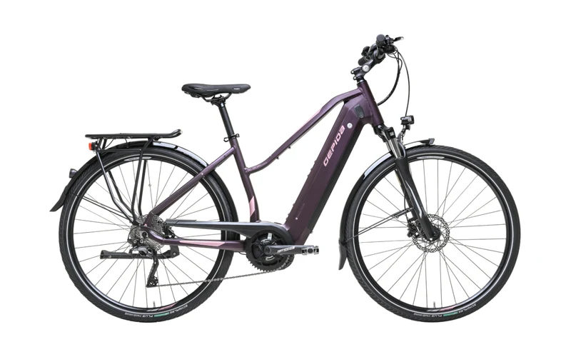 Gepida Alboin Curve Tour PURPLE/AUBERGINE VAE