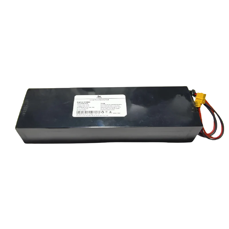 Batterie S1 Max (RD-1)