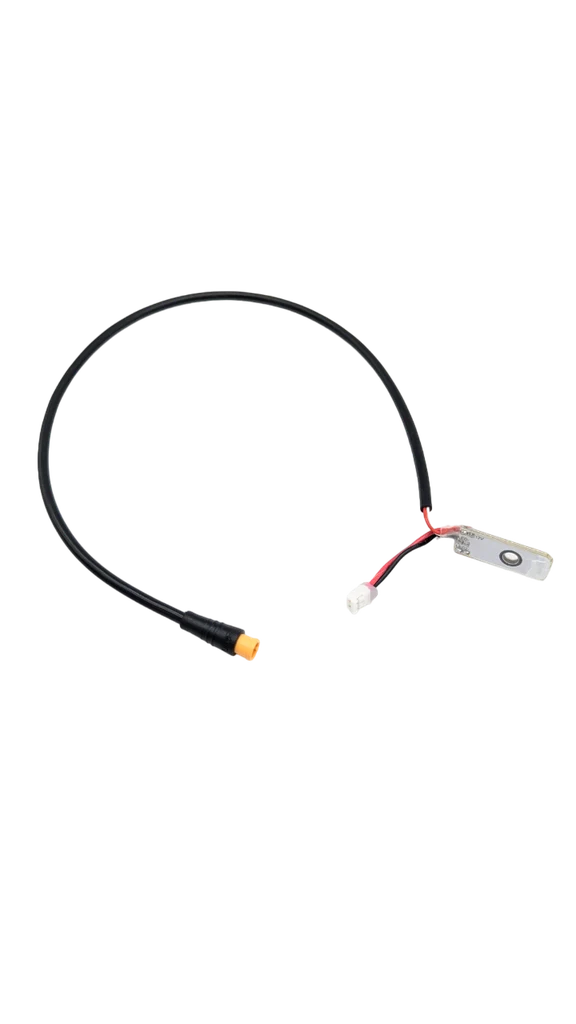Clignotant AVANT DROIT DUALTRON DOLPHIN