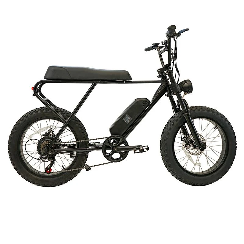 Fat ebike électrique M20X noir 20" avec freins à disque