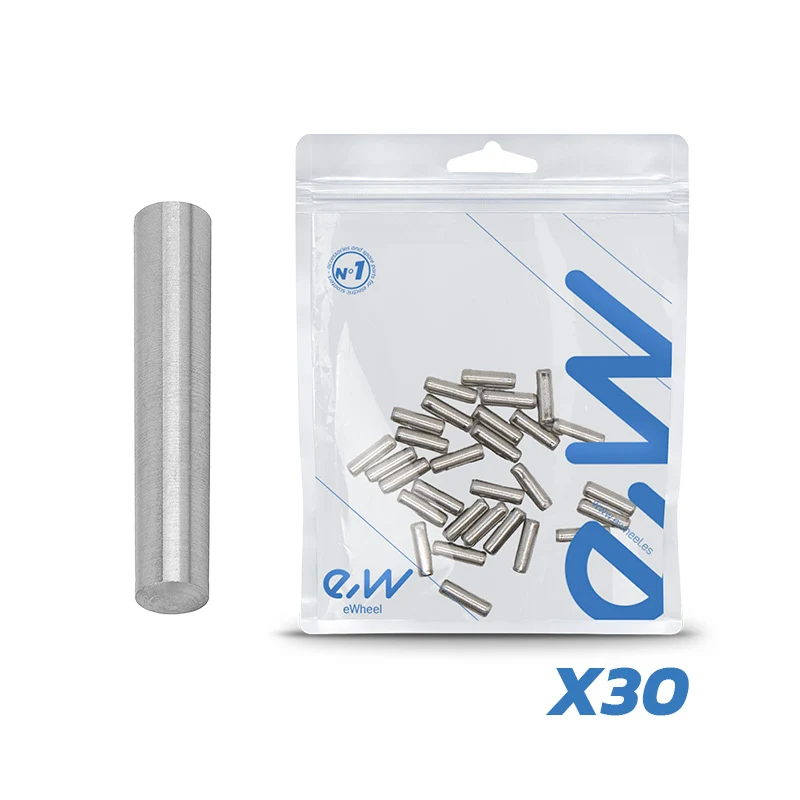 Goupille de charnière V1 Dualtron – lot de 30 unités
