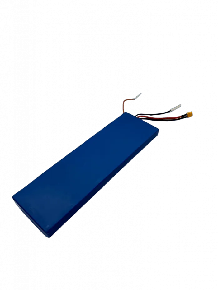 Batterie 48V 12Ah DUALTRON TOGO PLUS