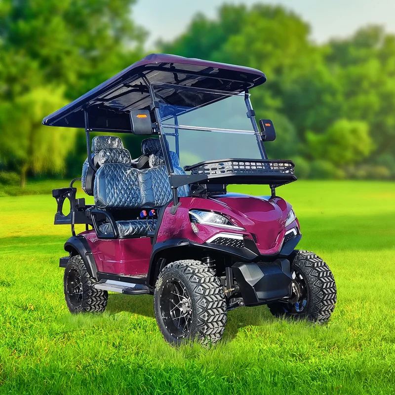 Voiturette de Golf Électrique 4 places Batterie Lithium 48V