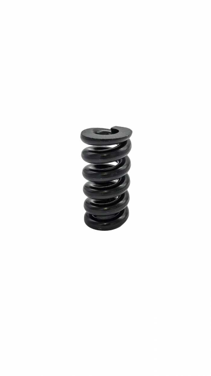 Ressort Suspension ARRIERE DUALTRON POP