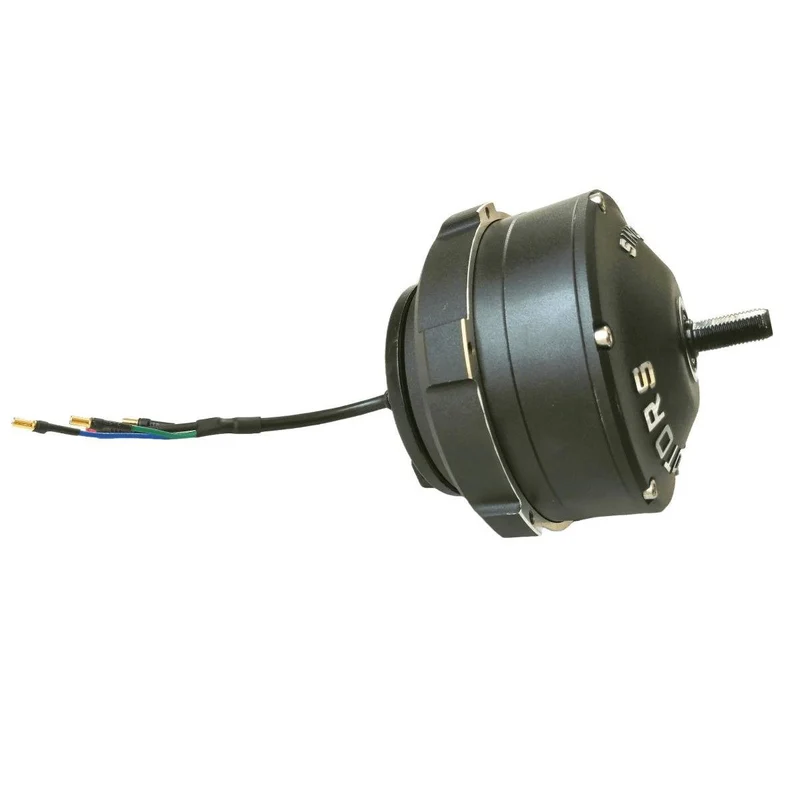Moteur pour Trottinette Électrique Dualtron Togo 36V