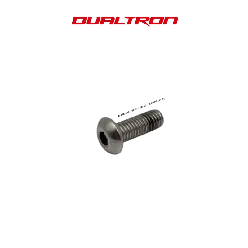 Vis de fixation pour écran EY4 Dualtron