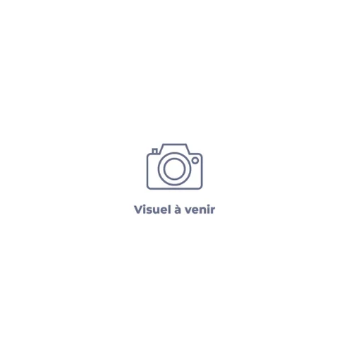 Roulement Colonne DUALTRON X LIMITED
