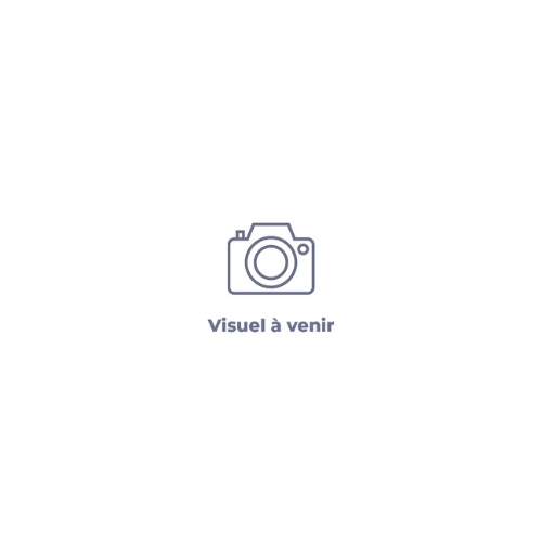 Fourche AVANT INMOTION CLIMBER