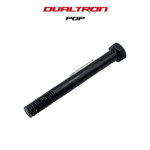Axe de suspension arrière pour Dualtron Pop