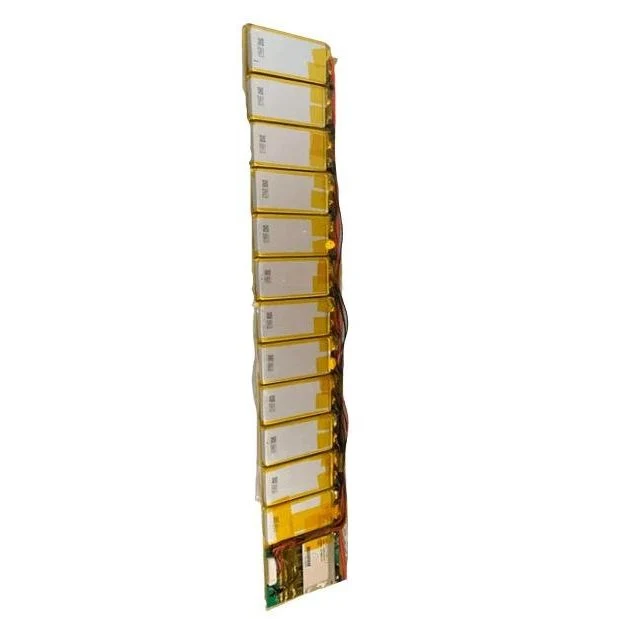 Batterie 193Wh pour Skateboard Electrique Exway X1 Pro