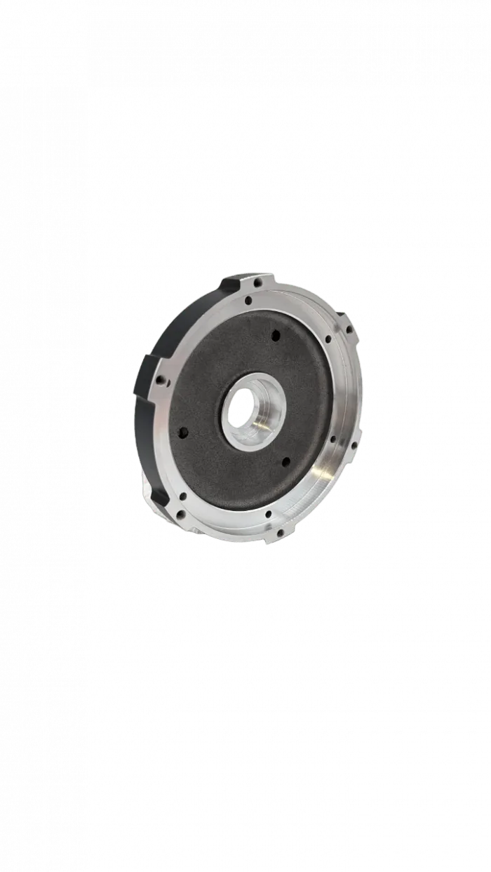 Flasque Côte Frein Tambour DUALTRON MINI
