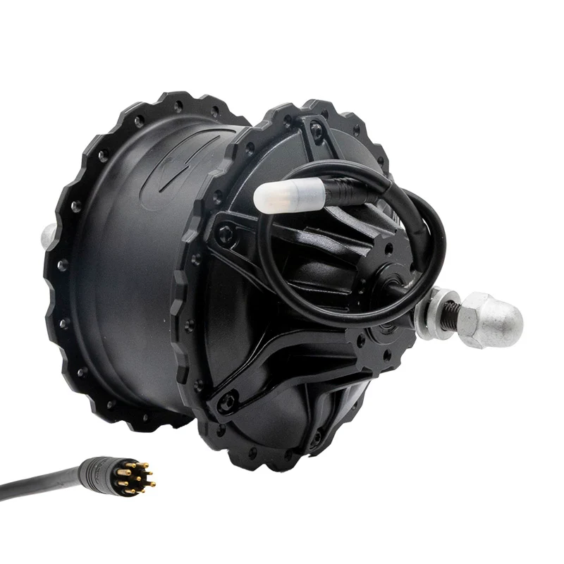 Moteur arrière 250 W / 80 Nm / 20" pour Commando et Navy — Viketory