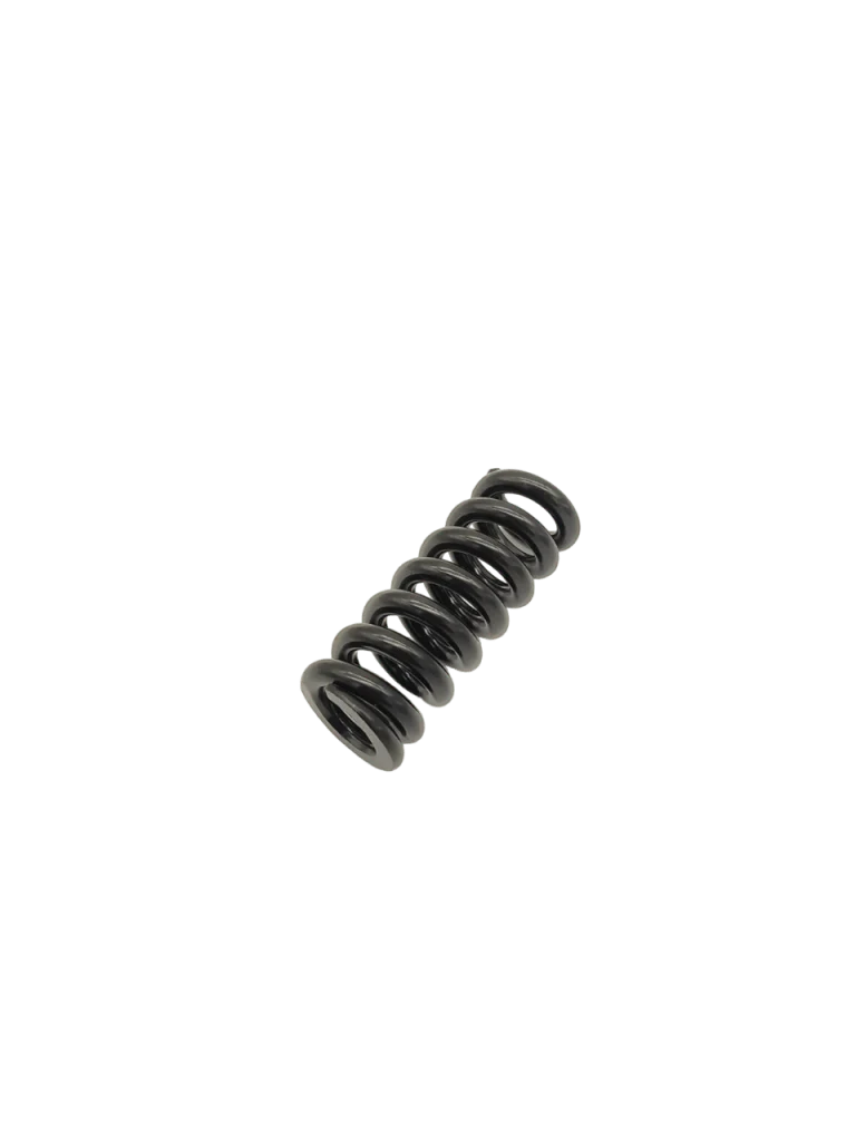 Ressort Suspension DUALTRON MINI & AMINIA